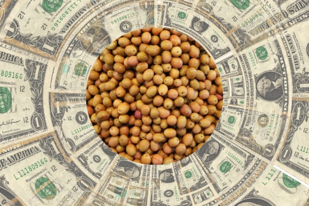El "dólar soja" generó un récord de ventas de la cosecha.