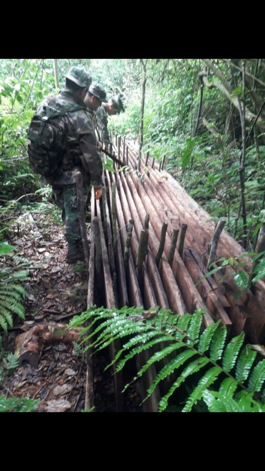 Tablones de madera ya aserrados y cepillados, listos para ingresar al mercado ilegal. Estaban en un sector de selva del Ejército. (Parques)