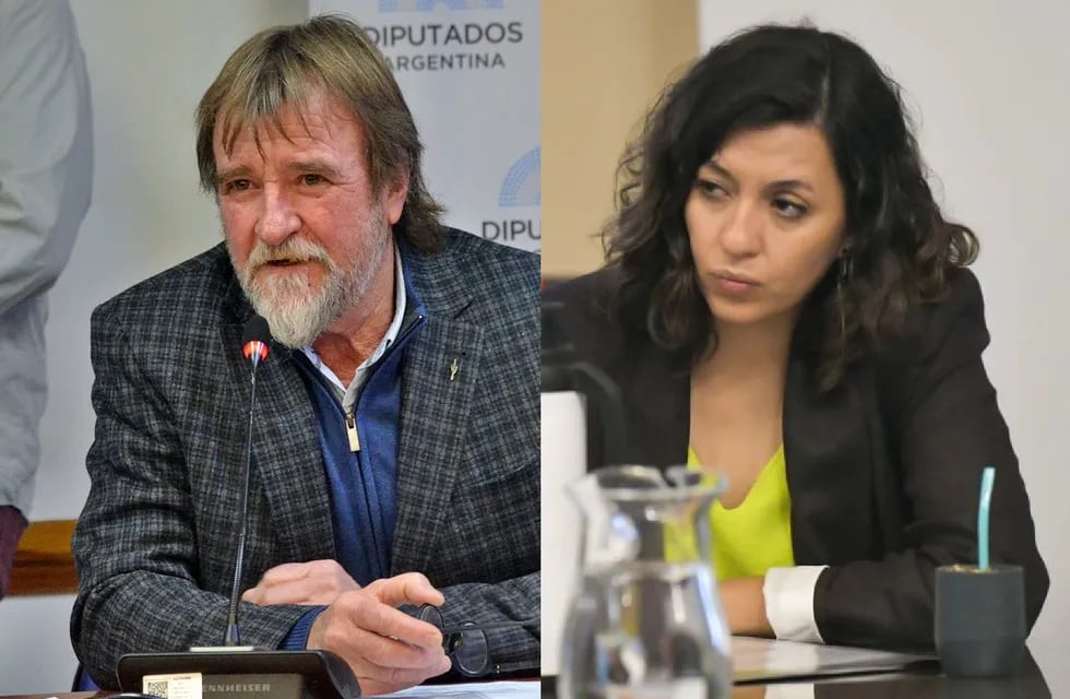 Jorge Rizzotti (UCR) y Leila Chaher (UxP), representantes por Jujuy en la Cámara Baja nacional.