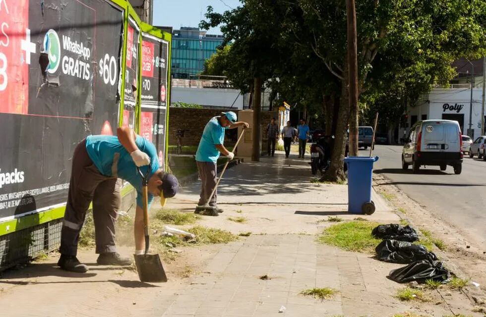 Bajaron más de 20% los reclamos en recolección de residuos (Municipalidad de Rosario)