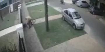 Tiraron a un chico al piso para robarle la bicicleta
