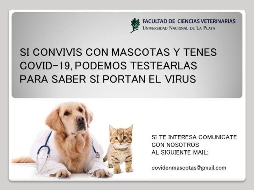 La Facultad de Ciencias Veterinarias de la UNLP ofrece a pacientes con Covid-19 testear a sus mascotas (UNLP)