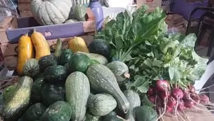 Verduras donadas a madres cocinando