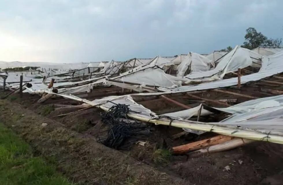 Producción en tendaleros fue la mas afectada por los temporales de diciembre.
