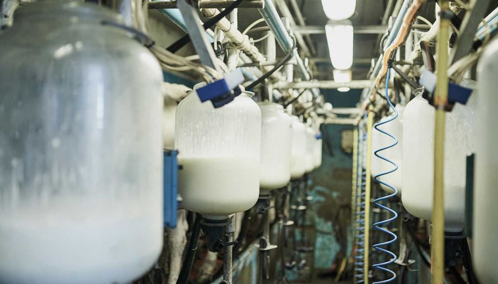 El proceso, consiste en calentar la leche a 72º C durante 15 segundos, para asegurarse de que no quede ningún patógeno vivo y que no se altere prácticamente nada de sus características nutricionales y organolépticas.