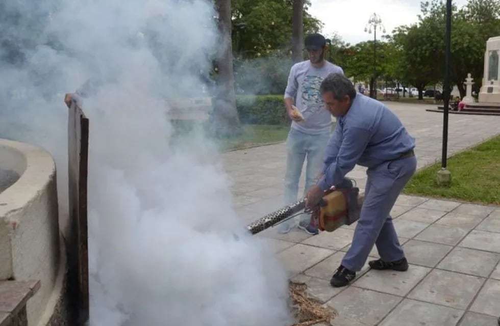 Empleados públicos en labores de destrucción de criaderos de larvas (http://facundoquiroga.com).
