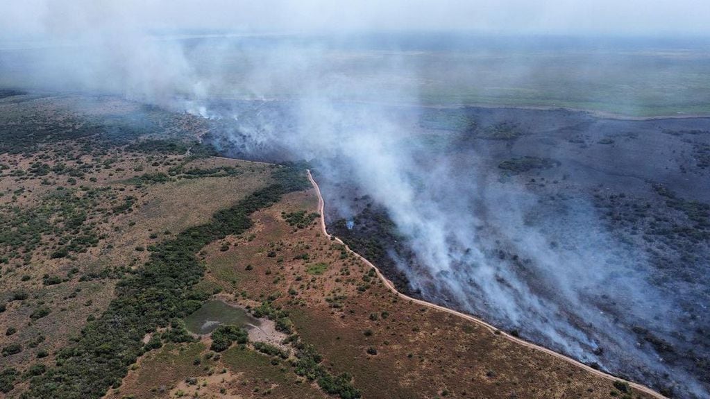 El Parque Nacional Iberá es otra zona muy agravada por los incendios, habiendo perdido el 40% de su territorio.