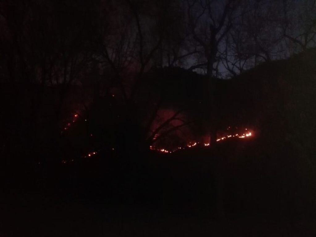 La Calera: el incendio visto cerca del Usina Molet.