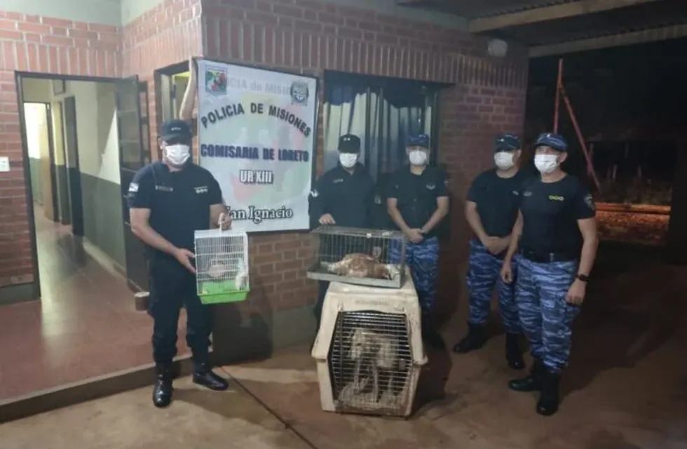 La policía rescató animales maltratados de una vivienda en Loreto.