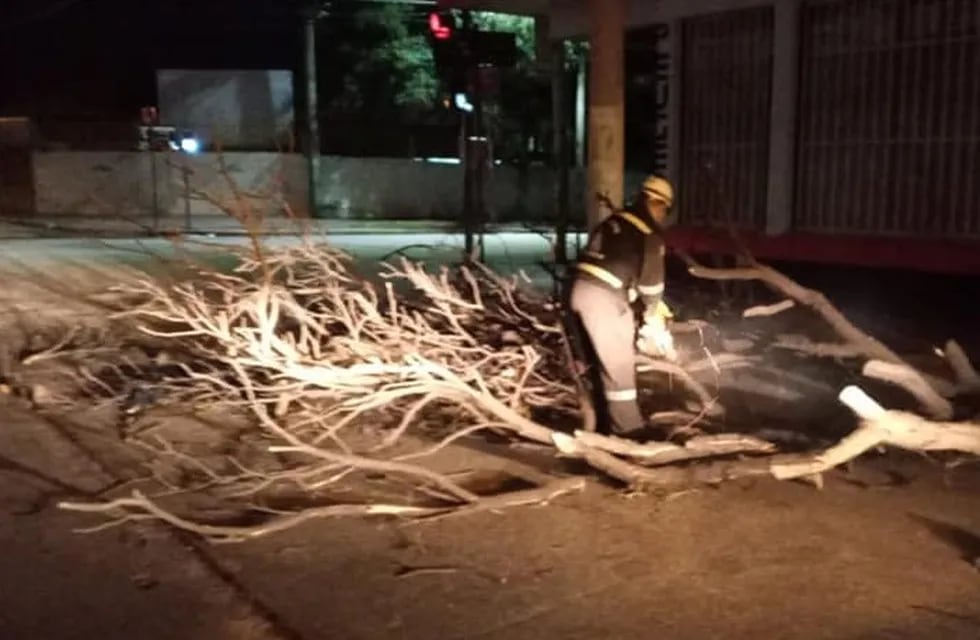 Debieron cortar ramas de árboles caídos por la tormenta en San Luis y habilitar las calles.