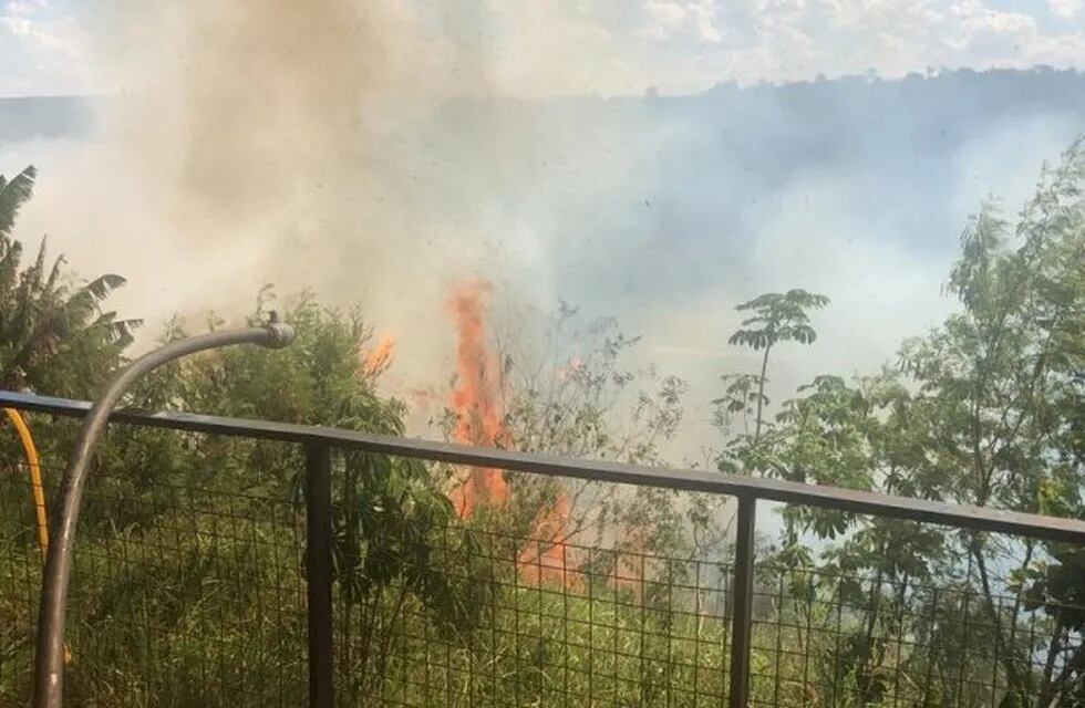 Iguazú: un incendio de malezas casi afecta a un complejo de cabañas