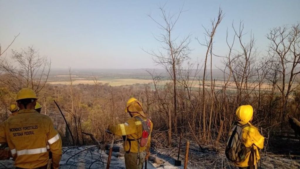 Un incendio originado en la zona de La Unión-Zanjón Seco, propiedad
de la empresa Ledesma S.A.A.I, ingresó el 2 de octubre al Parque Nacional Calilegua.