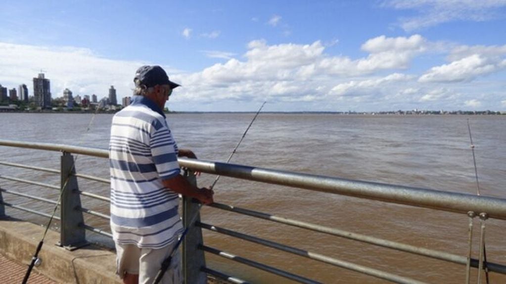 Nuevamente, veda total en los ríos Paraná e Iguazú.