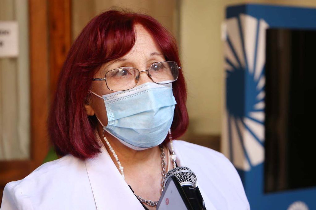¿Cuáles son los riesgos del dengue en el embarazo? La doctora Cristina Majul habla al respecto en Tucumán con Todo.