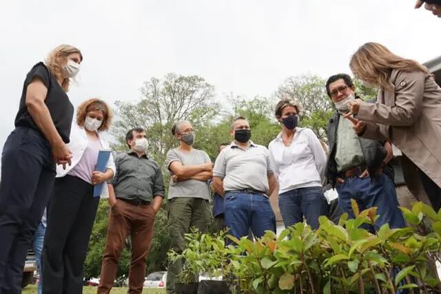 Entregaron plantas frutales al municipio de Almafuerte