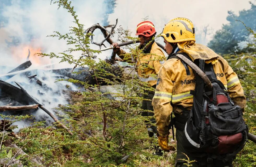 Incendio forestal.