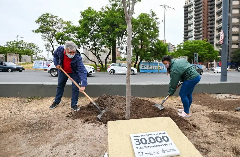 Martín Llaryora plantó el árbol número 30 mil desde que es intendente (Prensa Municipalidad de Córdoba).