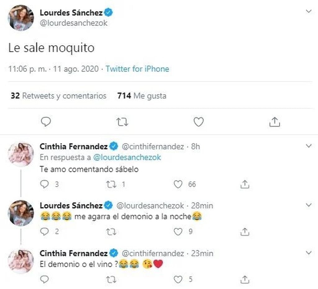 Cinthia Fernández se sumó al hilo de mensajes. (Twitter)