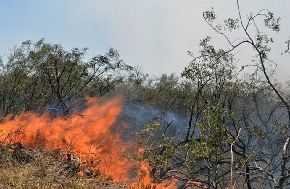 Ya se iniciaron diez causas judiciales por incendios forestales.