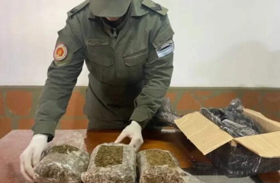 Incautan contrabando de marihuana en varios operativos en Posadas.