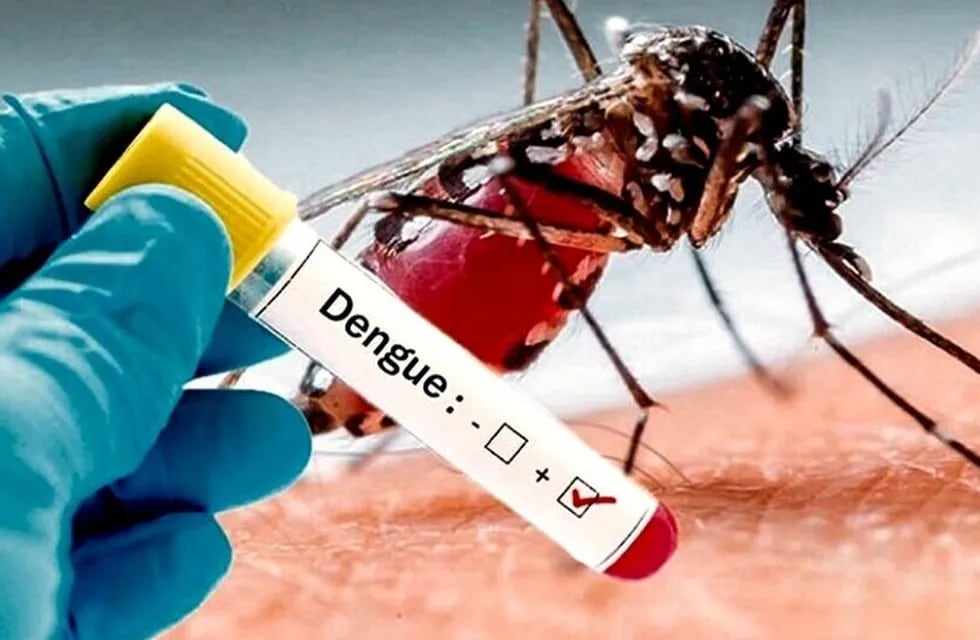 Dengue: amplían las medidas para eliminar definitiva el Aedes aegypti en Gualeguaychú