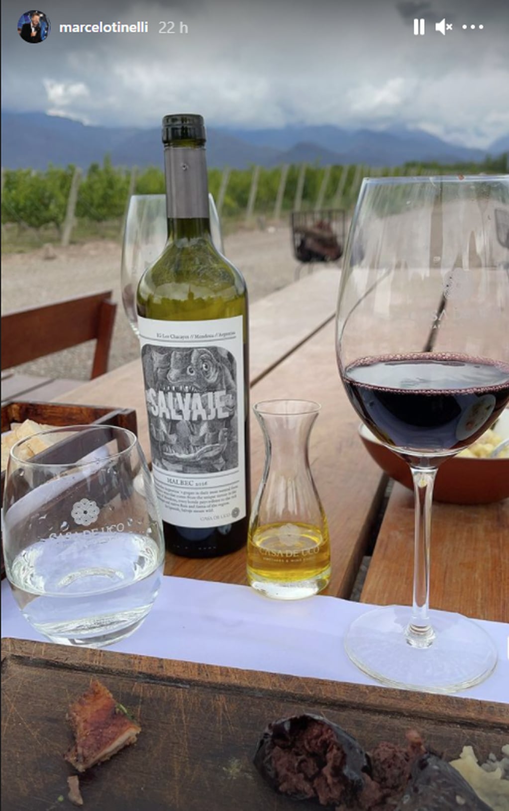 Uno de los vinos que Marcelo Tinelli y Guillermina Valdes degustan durante su visita a una bodega de Tunuyán.Imegen Instagram