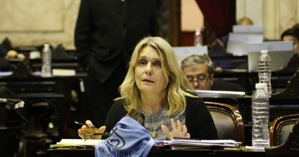 La exdiputada nacional Cornelia Schmidt Liermann es una de las impulsoras del proyecto.