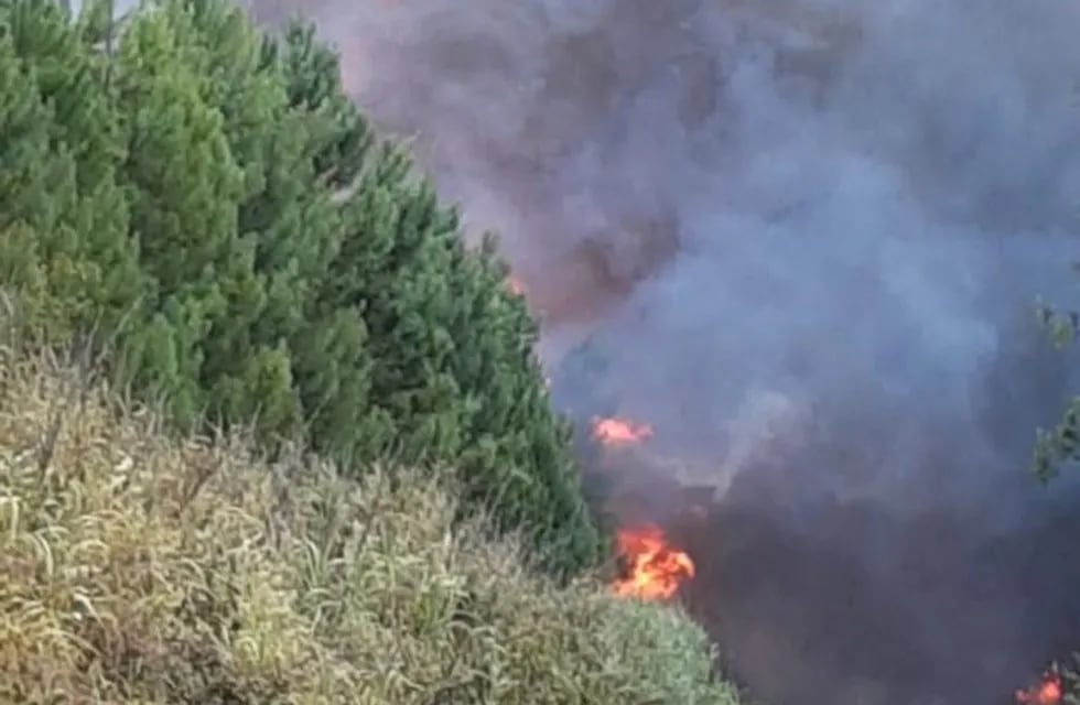 Feroz incendio en inmediaciones de comunidad aborigen en Capioví.