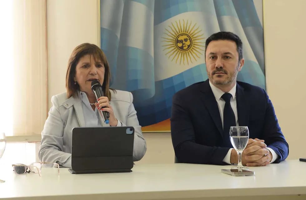 Conferencia de prensa de Patricia Bullrich y Luis Petri (Clarín)