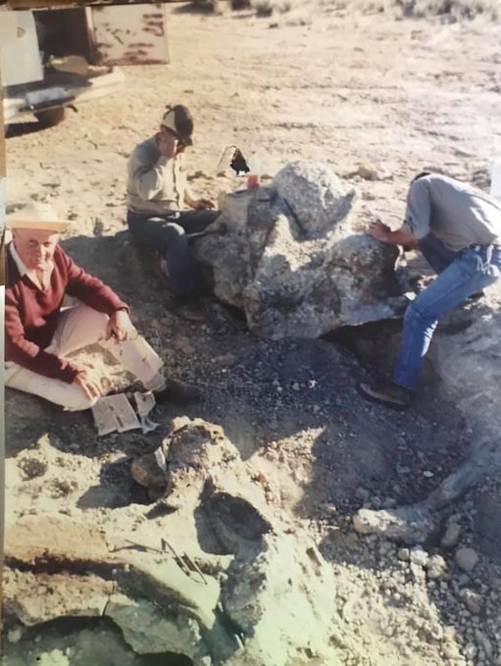 Científicos argentinos descubrieron los restos del Argentinosaurus huinculensis hace 30 años atrás.