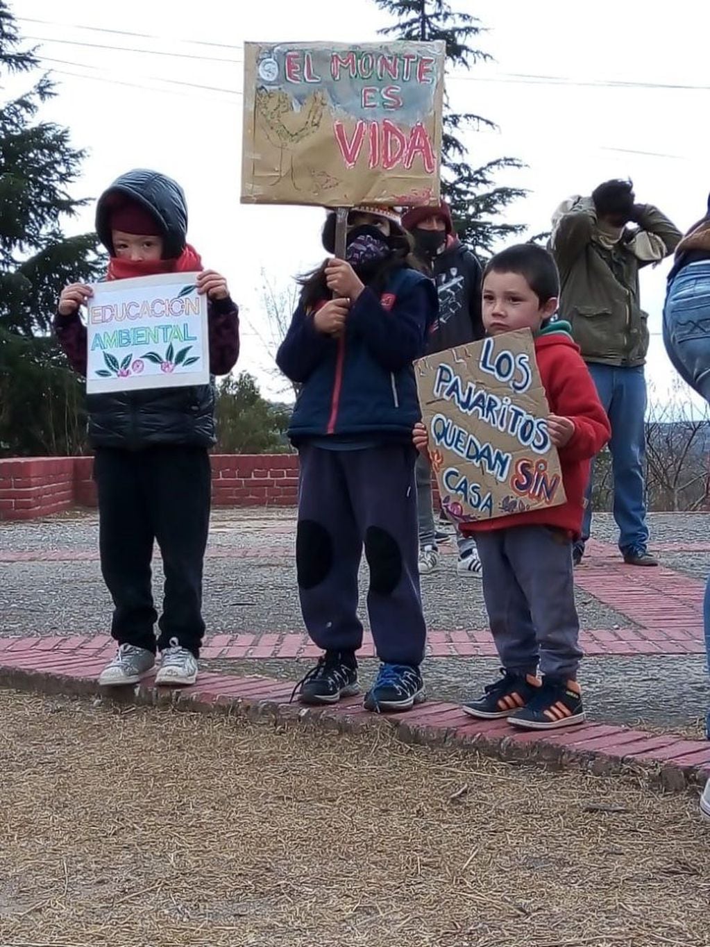Niños presenten en la manifestación por la Emergencia Ambiental  (Foto gentileza de Ayelén Villarreal)