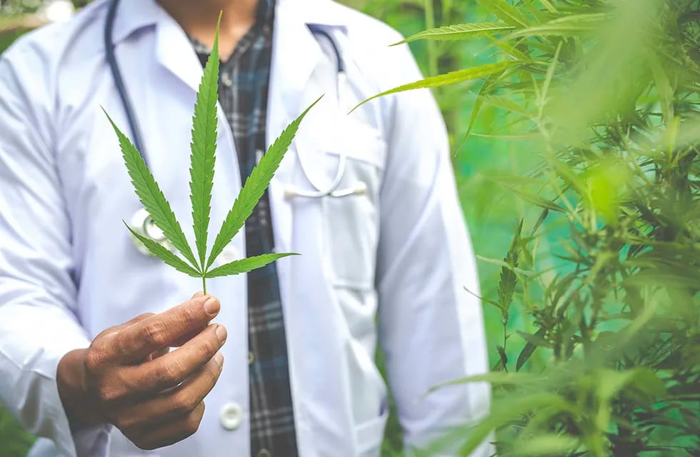 Un nuevo paso para el cannabis medicial en nuestro país.