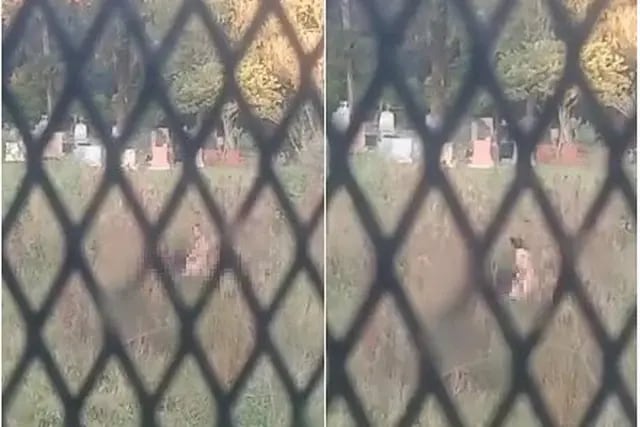 Filman a una pareja en pleno acto sexual en el cementerio de Eldorado y se desató la polémica