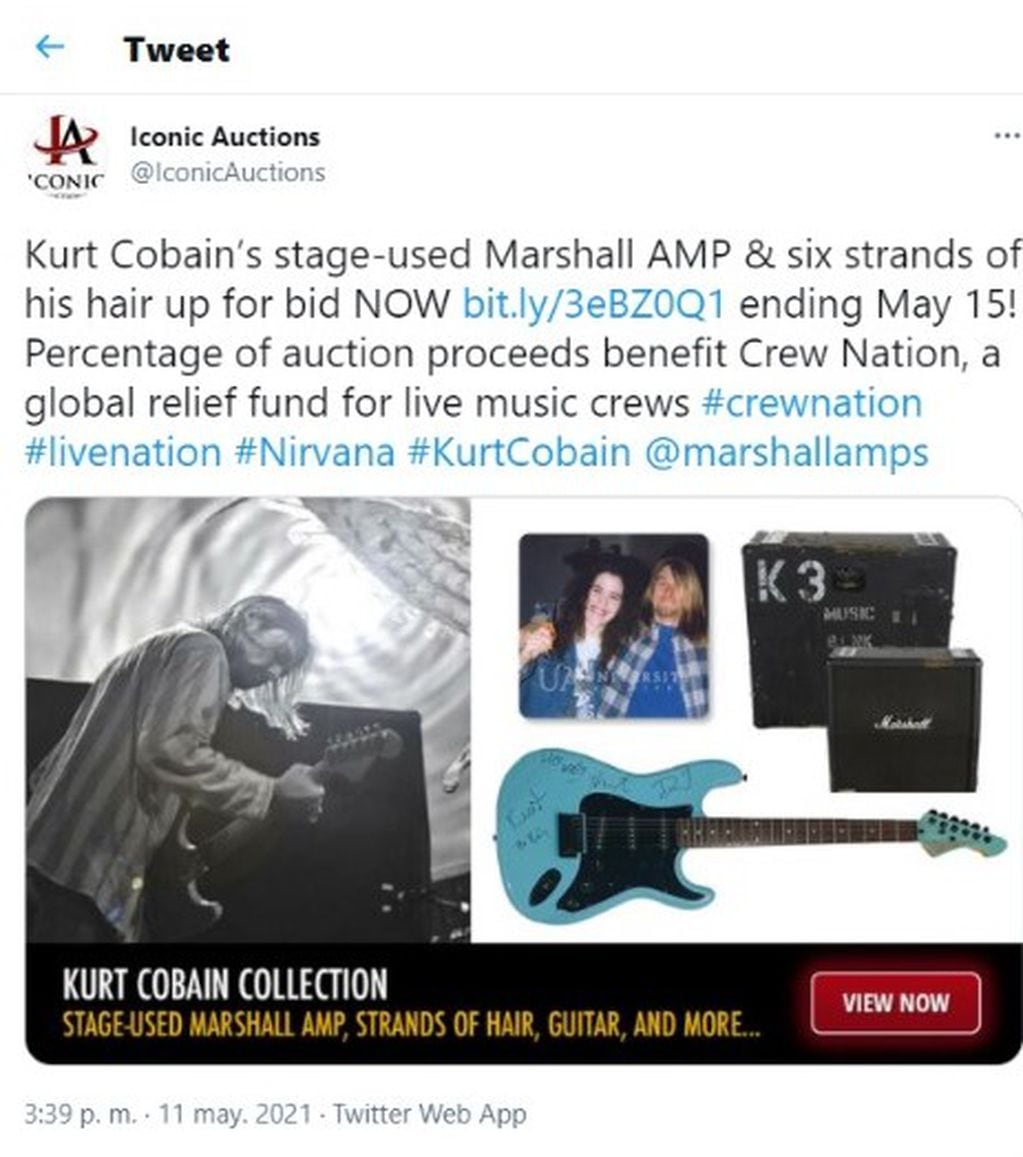 Iconic Auctions subastó el pelo de Kurt Cobain.