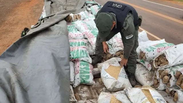 Incautan gran cargamento de soja ilegal en San Vicente