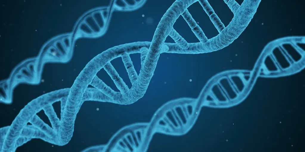 ADN. Imagen ilustrativa. (Qimono vía Pixabay.com)
