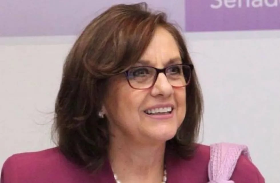 Descuido virtual de una senadora mexicana (Web)