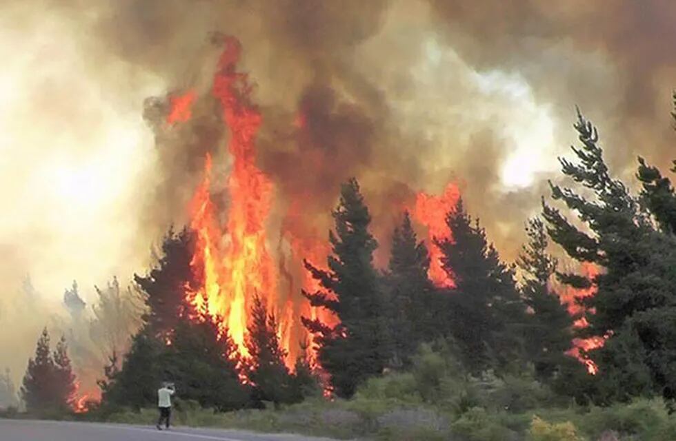 Incendio en Lago Puelo.