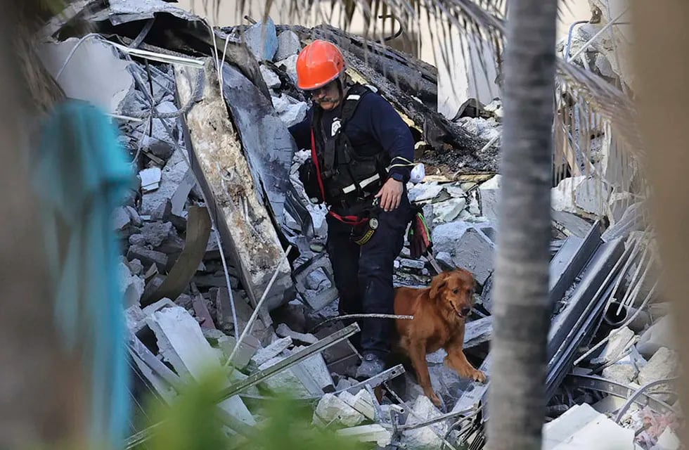 Un rescatista registra con un perro los escombros del condominio.