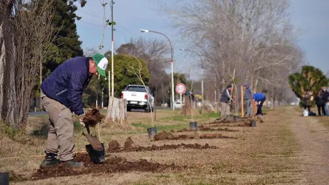 Pérez: se plantaron 70 árboles nativos en el Paseo del Caminante