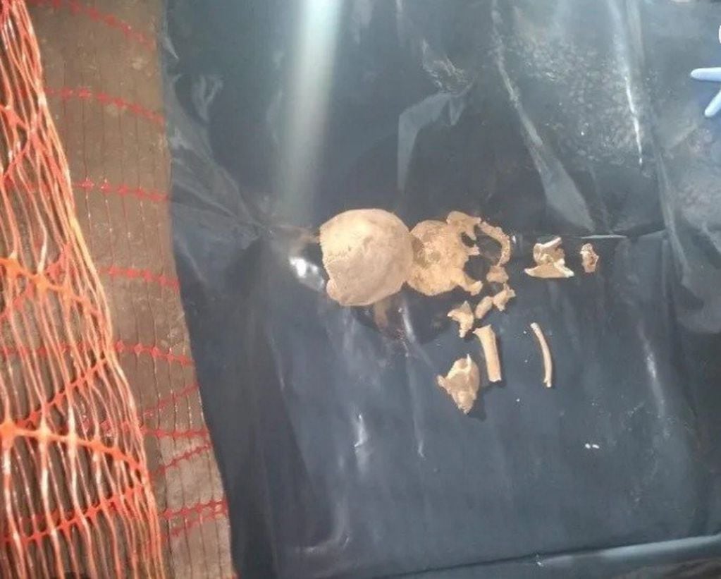 Los huesos fueron hallados por obreros que hacían cabañas.