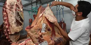 Carne exportaciones