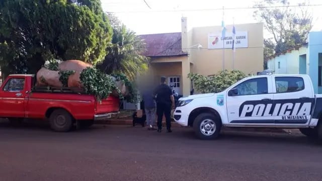 Un detenido por robar hojas de yerba en Guaraní