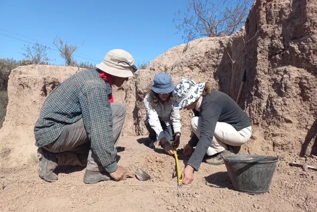 Antropólogos del Museo Cornelio Moyano, la UNCuyo y Conicet, encontraron restos humanos en tierras huarpes, Maipú.