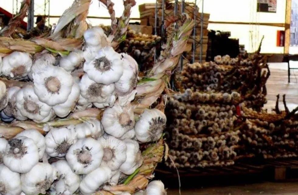 La competencia desleal de China, el temido competidor,desestabiliza la comercialización del ajo mendocino.