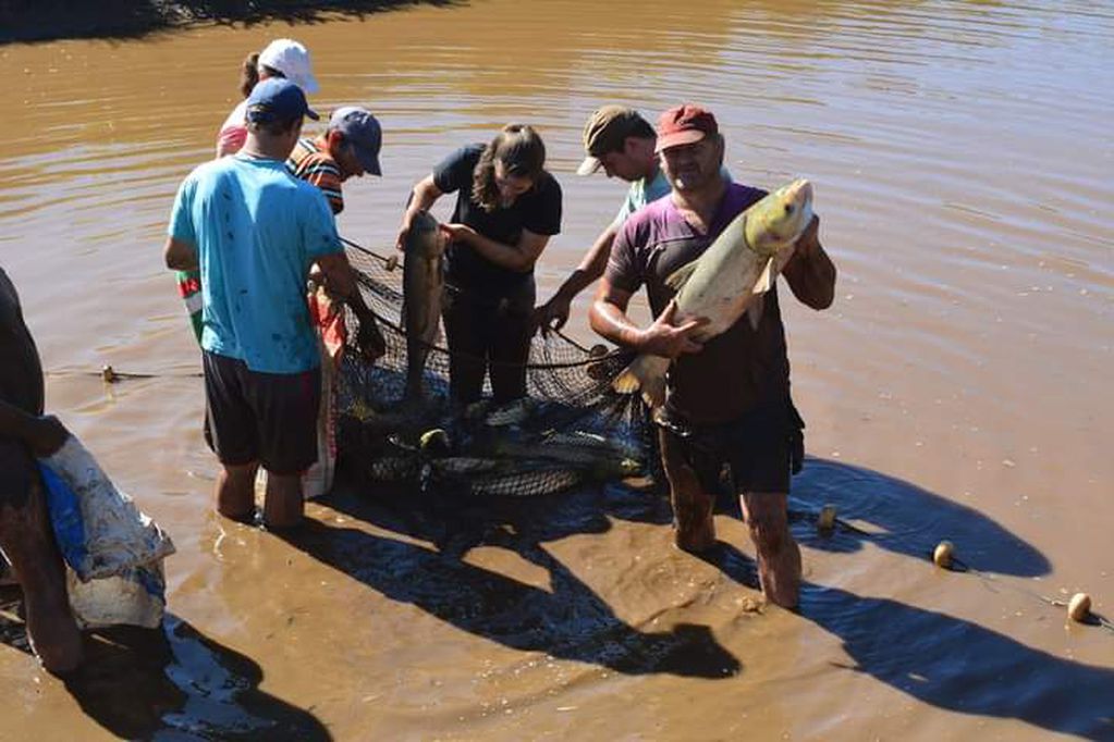 Campo Viera: piscicultores obtuvieron excelentes ventas de peces en Semana Santa