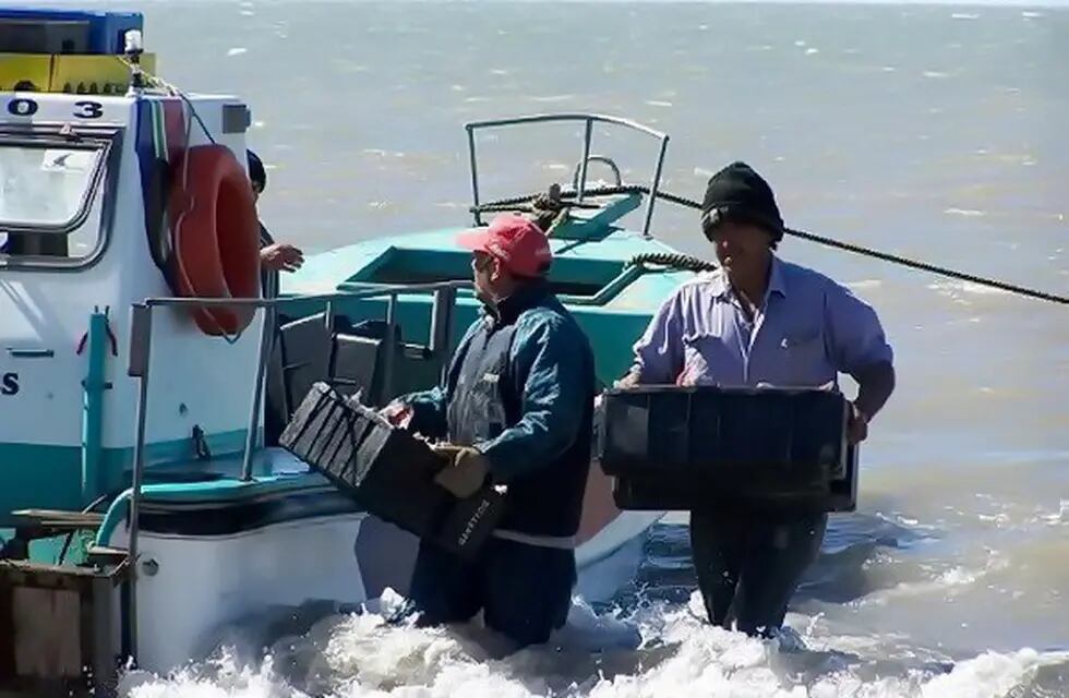 Pescadores artesanales de Mar del Plata y la zona fueron autorizados a salir a pescar en cuarentena (Foro: Puntonoticias)