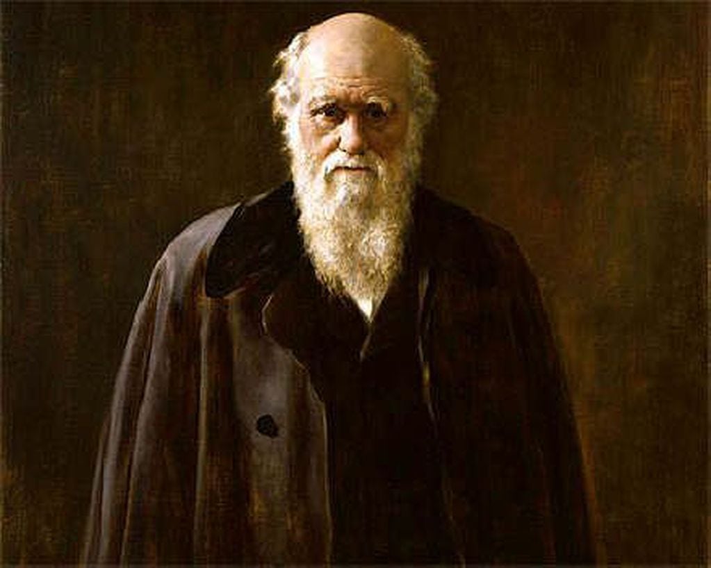 Charles Darwin afirmó que todos los seres vivos del planeta descienden de un origen en común que fue evolucionando. Foto Archivo.