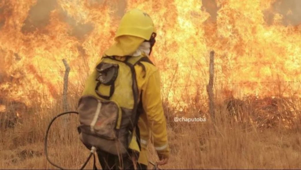 Los incendios consumieron 785 mil hectáreas de campos.