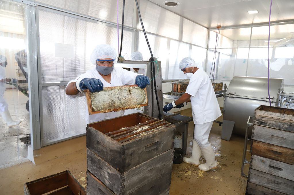 Un centenar de productores apícolas hacen uso de las instalaciones. 